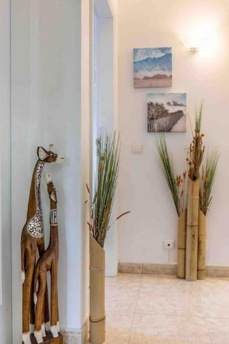 Terracos Do Vau 108 Apartment Портиман Екстериор снимка